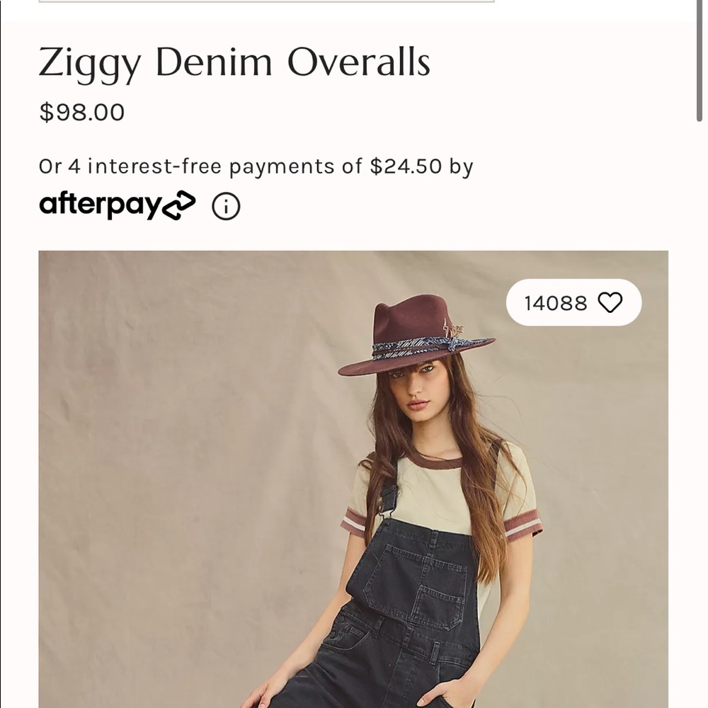 Black Free People overalls